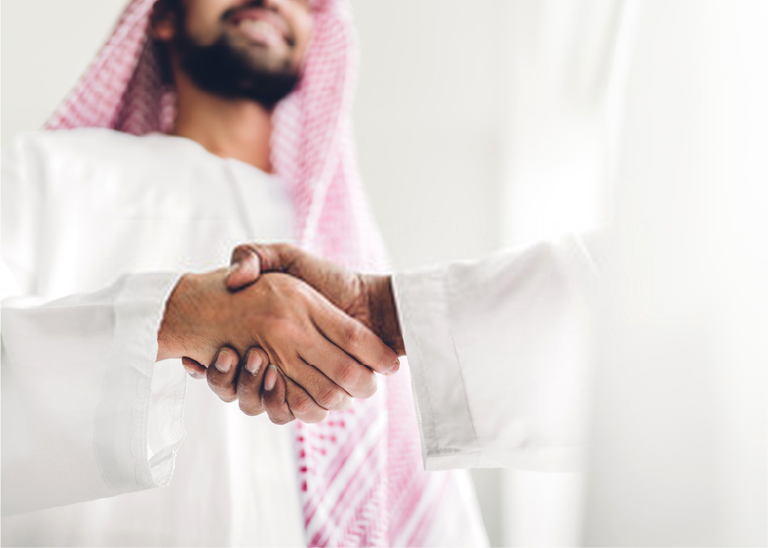 shaking hands at a government summit